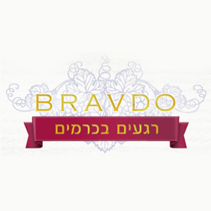 Bravdo תחרות צילום